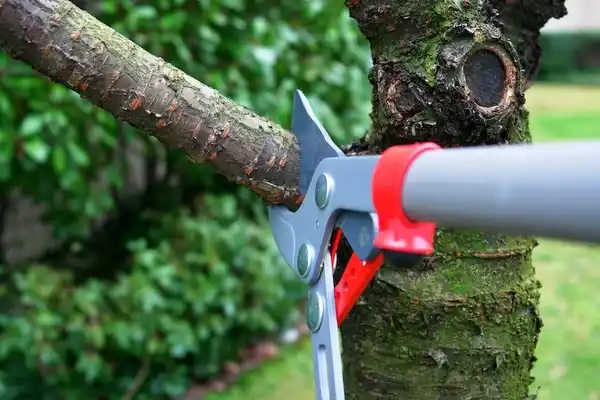 tree services Hazel Green